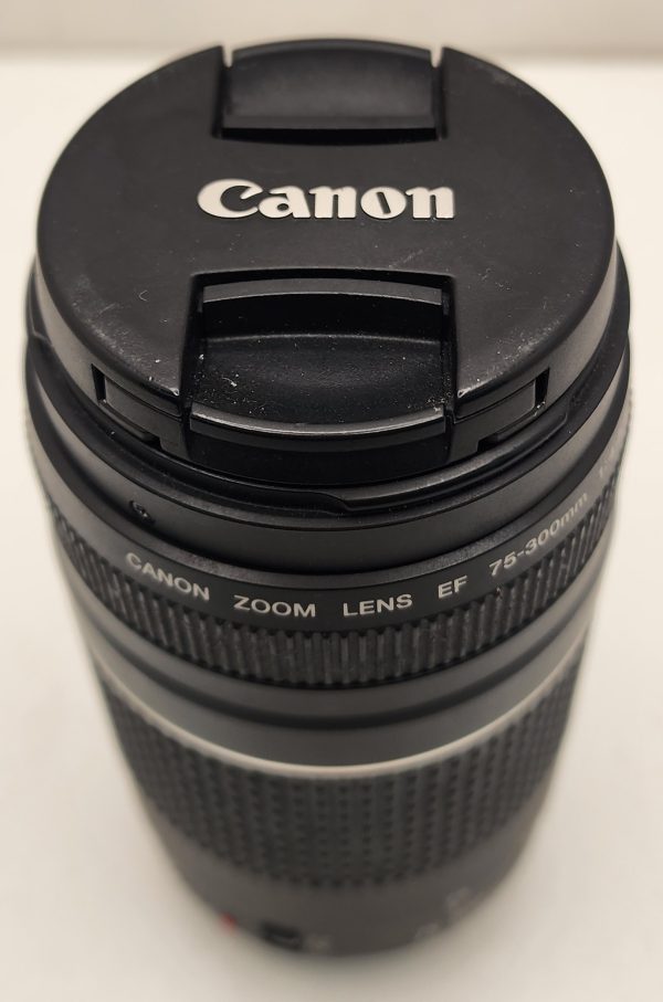 Canon Ultrasonic Zoom 1: 4-5.6  75-300mm Lens III IP345293 - Image 12