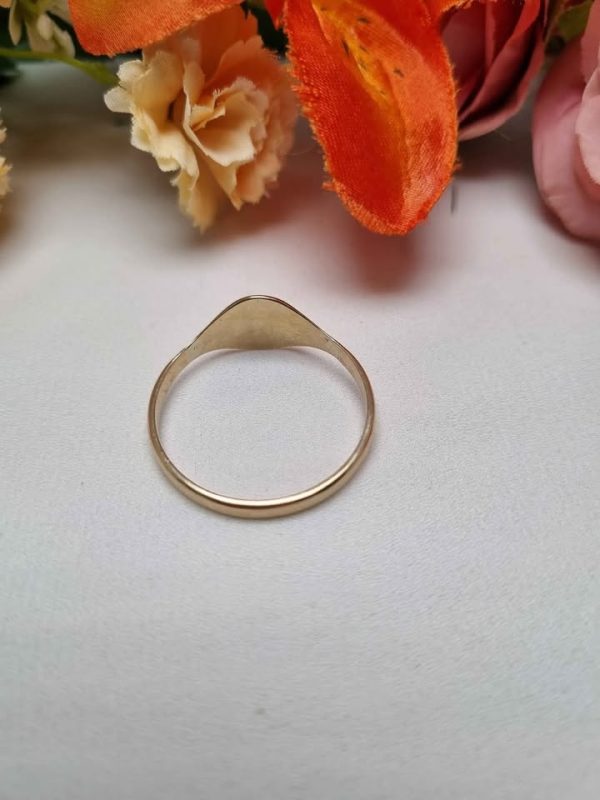 MENS 9CT YELLOW GOLD RING TW342707 - Image 5