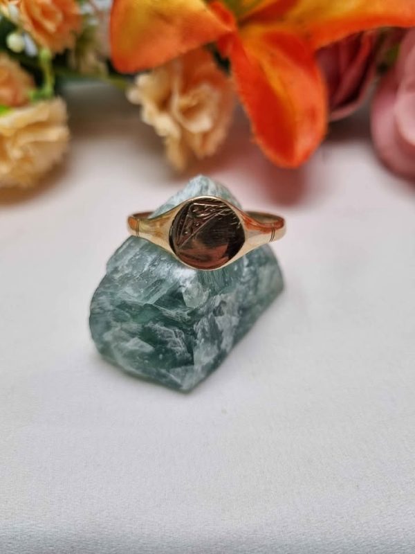 MENS 9CT YELLOW GOLD RING TW342707