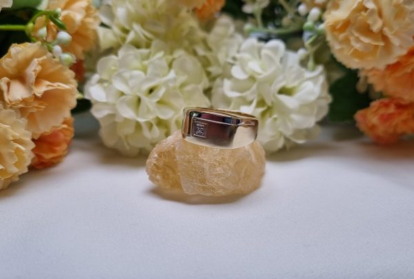 Mens 9ct Yellow Gold Signet Ring TW357599 - Image 6