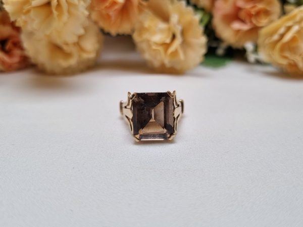 9ct Yellow Gold Champagne Stone Ring TW365081 - Image 6