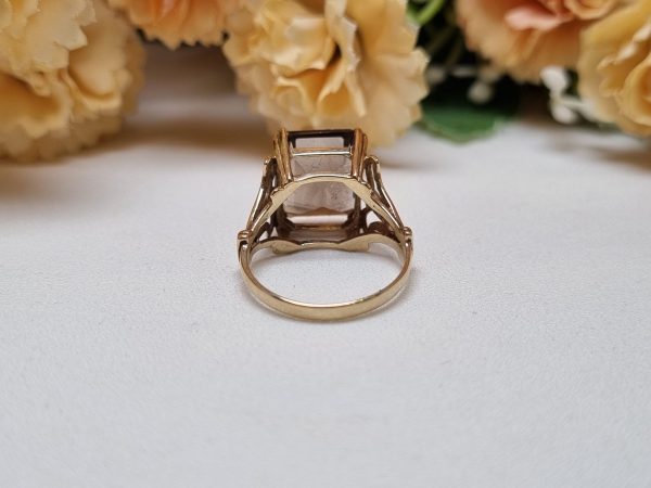 9ct Yellow Gold Champagne Stone Ring TW365081 - Image 8