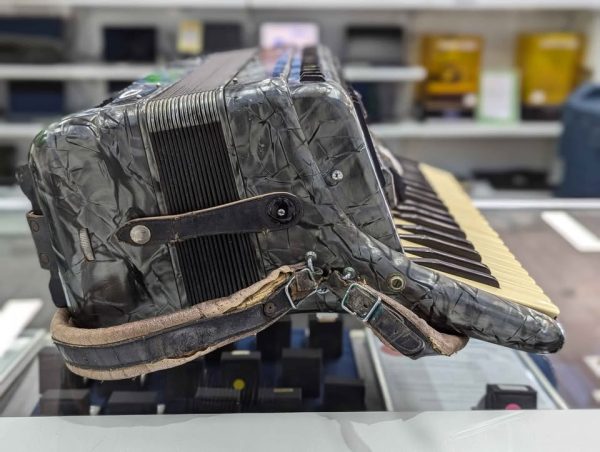Unbranded Accordion Instrument - BP366039 - Image 6