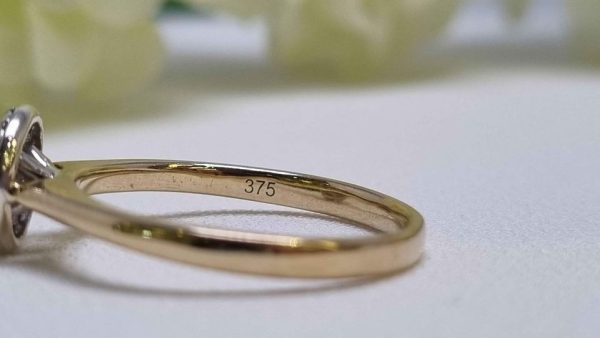 9ct Yellow Gold Diamond Halo Ring TW322100 - Image 13