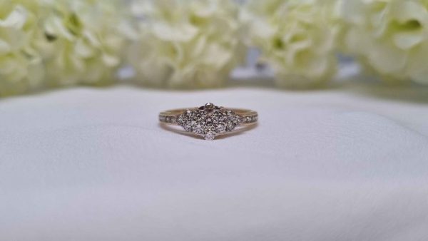 9ct Yellow Gold Diamond Cluster Ring TW322898 - Image 19