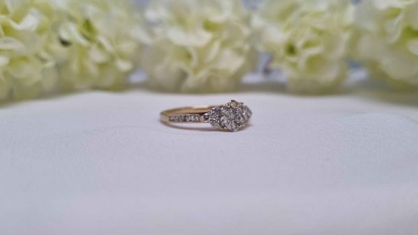 9ct Yellow Gold Diamond Cluster Ring TW322898 - Image 17