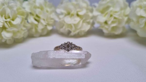 9ct Yellow Gold Diamond Cluster Ring TW322898 - Image 16