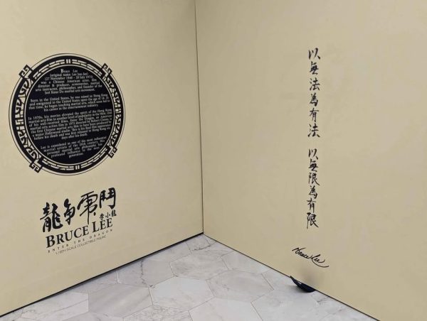 Hot Toys 1/6 Scale Bruce Lee Enter The Dragon Collectable Figure - BP367867 - Image 2