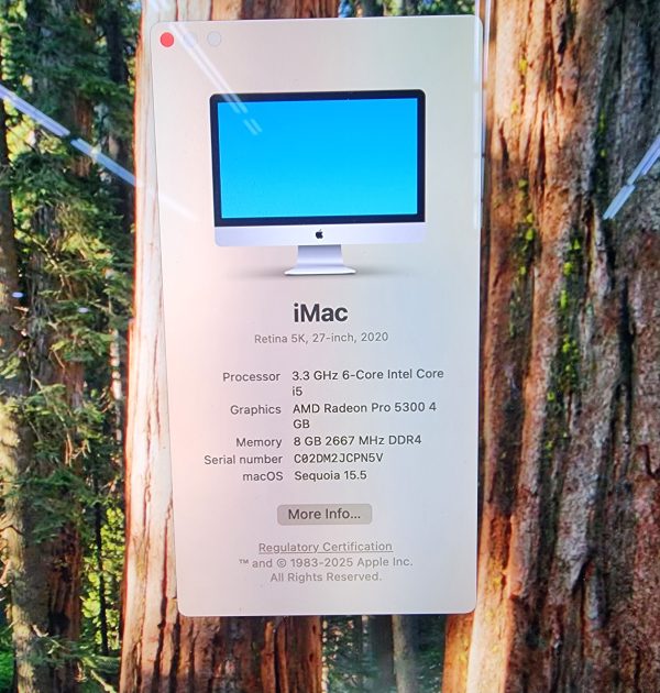 Apple iMac 2020 27" with Magic Keyboard and Mouse - IP369291 - Image 4