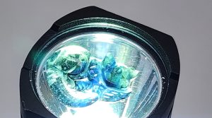 Carved Sapphire Possum - IP308920