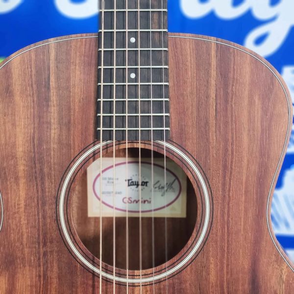 TAYLOR GUITAR WITH BROWN SOFT CASE #GN373804 - Image 13