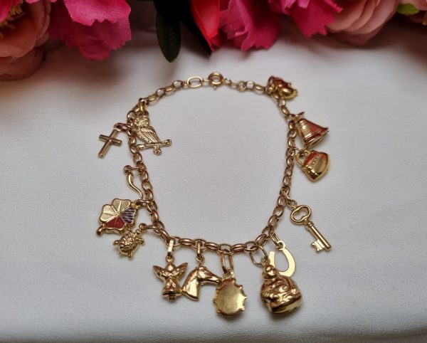 9ct Yellow Gold Charm Bracelet TW357421