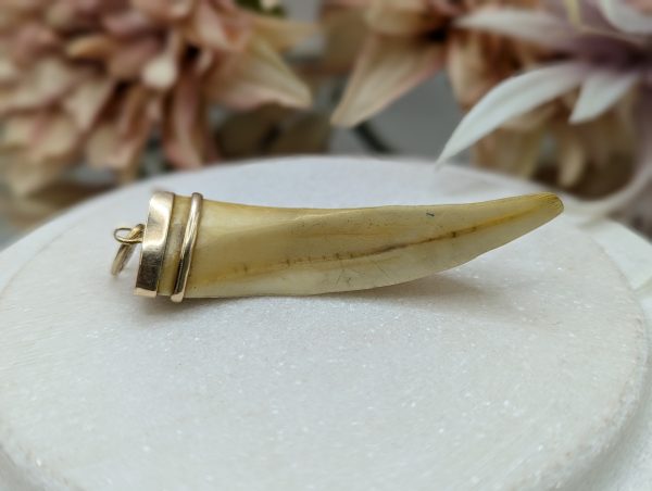 Mens 18CT Yellow Gold Tooth Pendant (14.3gms) - BP373715 - Image 5