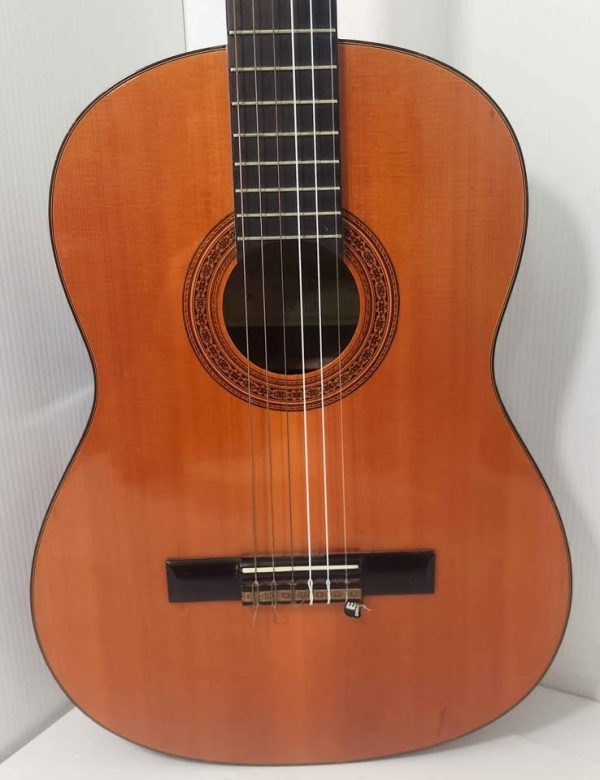 VALENICA GUITAR ACOUSTIC #GN375875 - Image 27