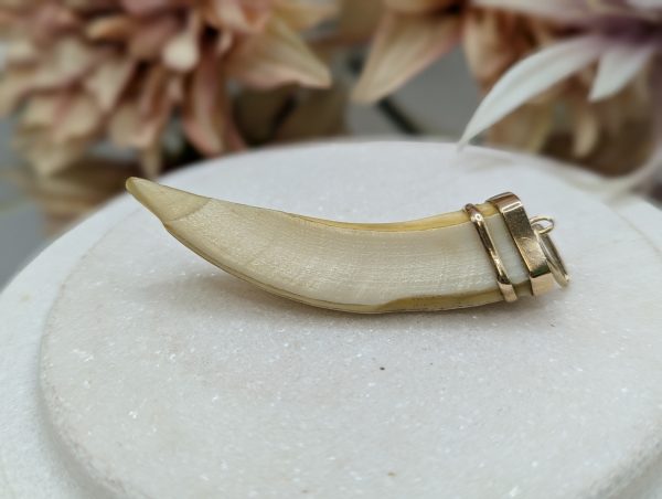 Mens 18CT Yellow Gold Tooth Pendant (14.3gms) - BP373715 - Image 7