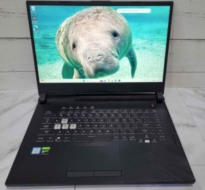 ASUS ROG STRIX G531GU TW347214