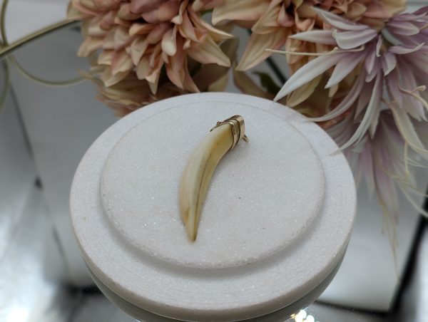 Mens 18CT Yellow Gold Tooth Pendant (14.3gms) - BP373715
