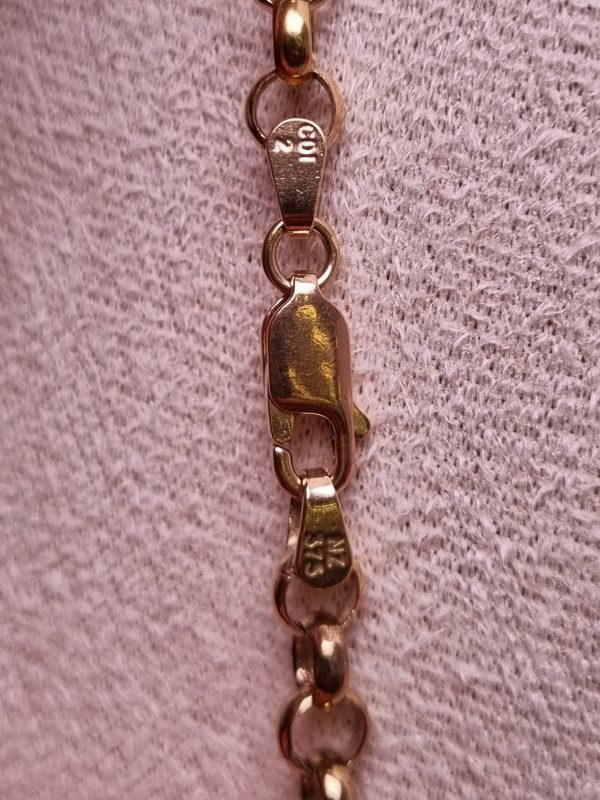 9ct Yellow Gold Belcher Link Necklace TW361579 - Image 3