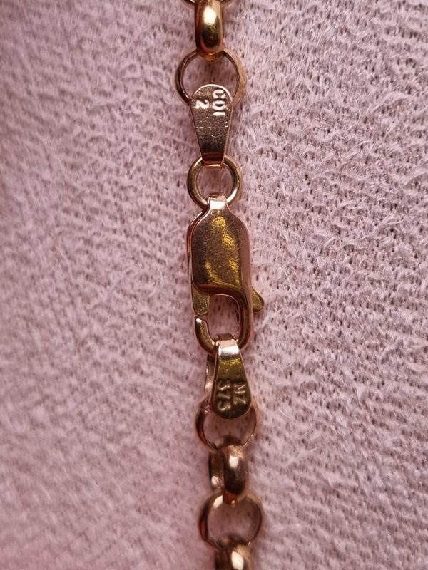 9ct Yellow Gold Belcher Link Necklace TW361579 - Image 6