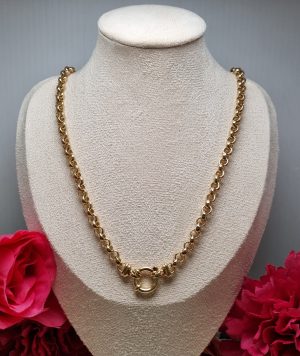 9ct Yellow Gold Belcher Link Necklace TW340055