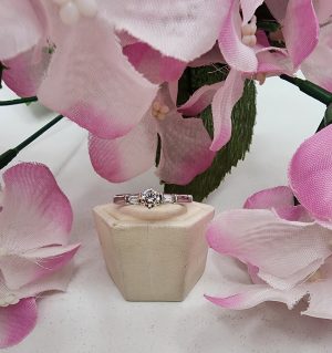 Ladies 18CT White Gold Diamond Ring - IP335595
