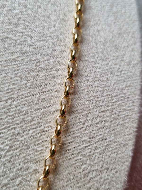 10ct Yellow Gold Belcher Link Necklace TW375746 - Image 2