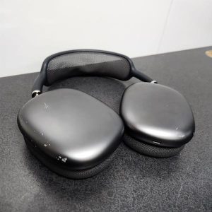 APPLE EARPHONES WITH CASE #GN365866