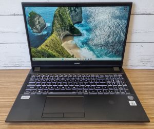 Leader Companion Laptop TW379871