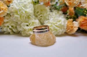9ct Half Gold/Silver Ring TW386568