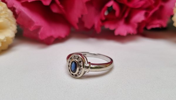 9ct White Gold Blue Stone and Diamond Halo Ring TW375734 - Image 7