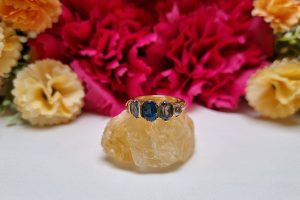 9ct Yellow Gold Blue Stone Ring TW376650