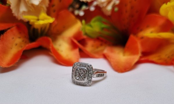 9ct White Gold diamond Cluster/Halo Ring TW384824 - Image 2
