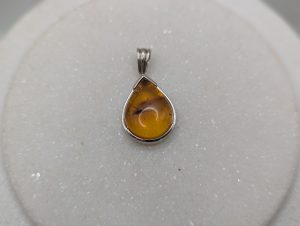 Unisex 9CT White Gold Mosquito in Amber Pendant (5.9gms) - BP361666