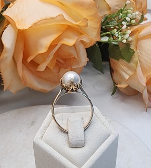 Ladies 14CT Yellow Gold Pearl Ring - IP348499
