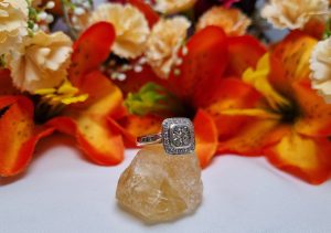 9ct White Gold diamond Cluster/Halo Ring TW384824