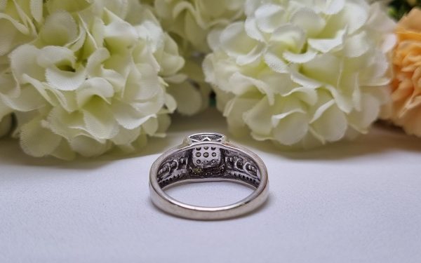 9ct White Gold Channel Set Halo Ring TW382668 - Image 6