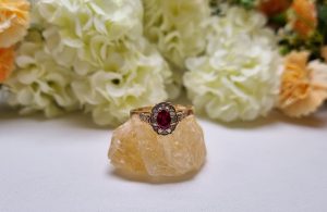 10ct Yellow Gold Red Stone Halo Ring TW370870