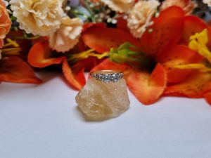 9ct Yellow Gold Diamond Ring TW383747