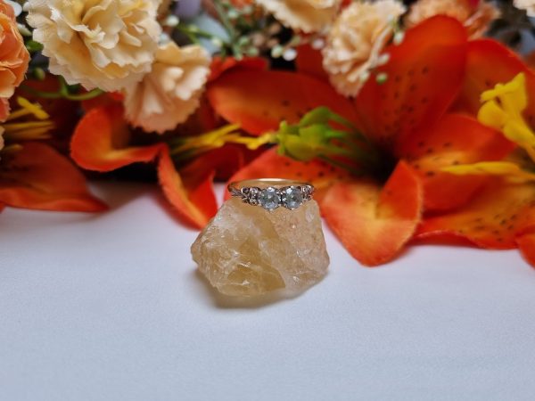 9ct Yellow Gold Diamond Ring TW383747
