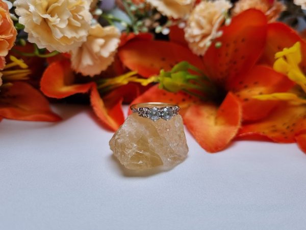 9ct Yellow Gold Diamond Ring TW383747 - Image 5