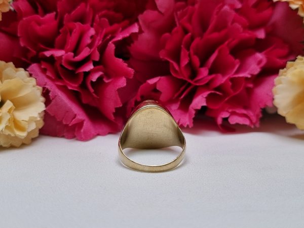 9ct Yellow Gold Opalescent Ring TW373743 - Image 3