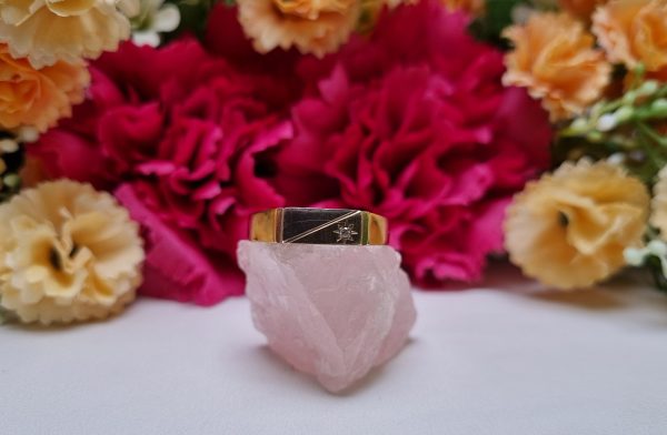 9ct Yellow Gold Signet Ring TW372636