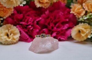 9ct Yellow Gold Princess Cut Diamond Ring TW373742