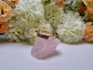 9ct Yellow Gold Signet Ring TW386570