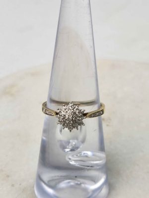 9CT YELLOW GOLD RING #GN390086