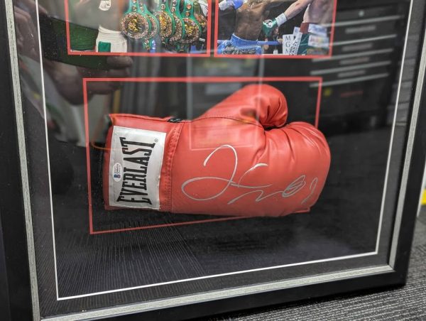 Framed Mayweather Autographed Glove Memorabilia - BP391465 - Image 3