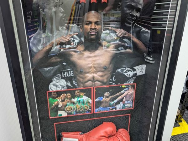 Framed Mayweather Autographed Glove Memorabilia - BP391465 - Image 4