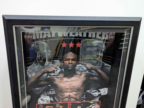 Framed Mayweather Autographed Glove Memorabilia - BP391465 - Image 2
