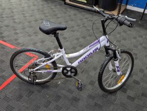 Radius BMX Ponytrail Bike - BP374698