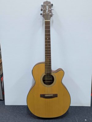 Takamine D Series Electric Acoustic Guitar (ED50C-NS) - BP404548